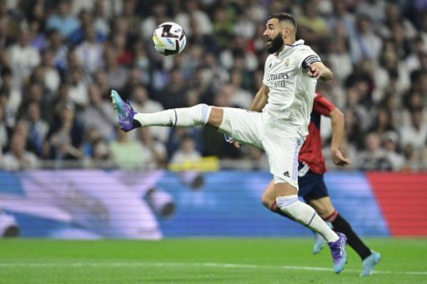 沈樵在线观看福利